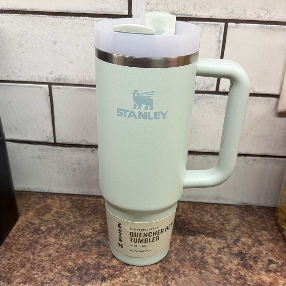 Stanley Mint Green Insulated Handle Tumbler